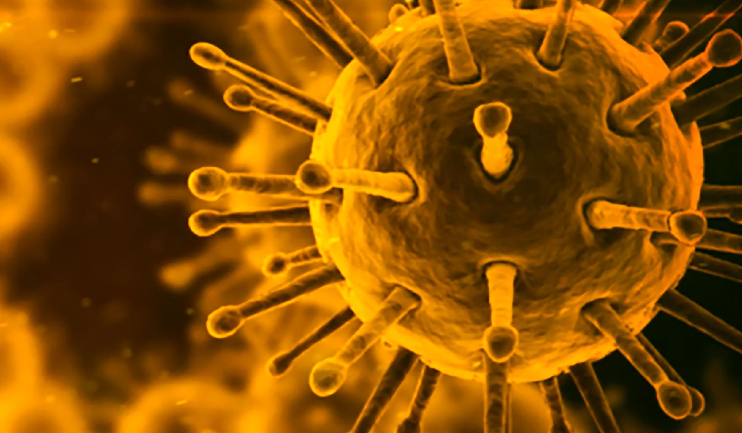 Antiviral Drug Studies Axion Biosystems